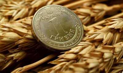 ДПЗКУ починає форвардні закупівлі зерна врожаю 2021 року