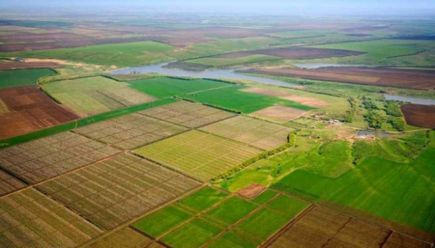Публічну кадастрову карту України доповнять показниками стану ґрунтів