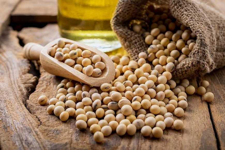 Єгипет збільшує закупівлі української сої