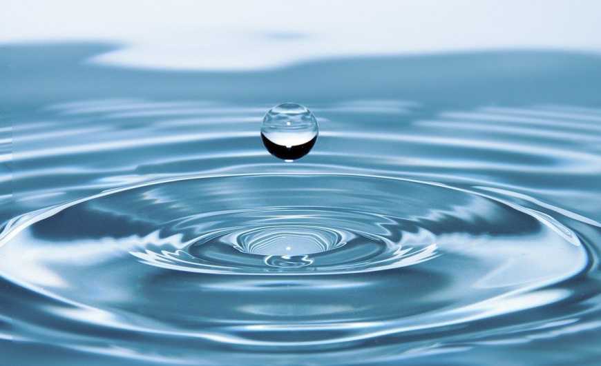 Всесвітній день води: Elicit Plant вживає заходів для сталого управління водними ресурсами