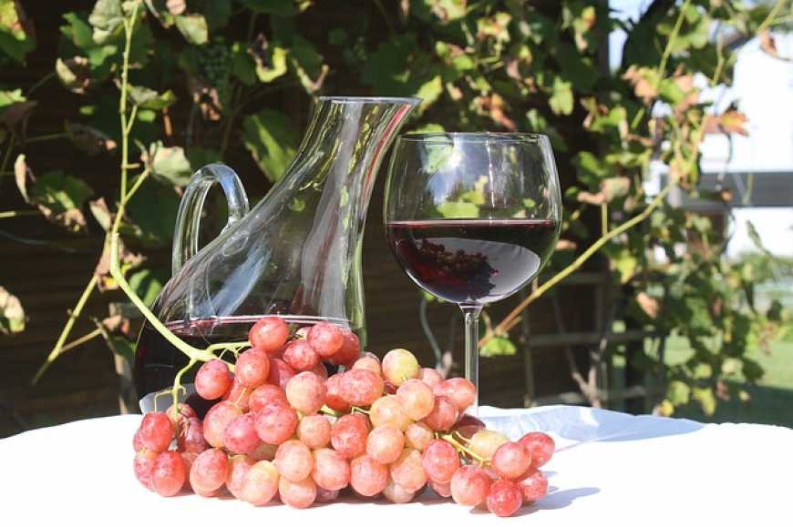 На Херсонщині створили громадську спілку «Дороги вина та смаку Херсонщини»