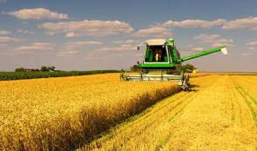 Експерт пояснив, чому Україна не повинна ставити акцент на аграрному секторі