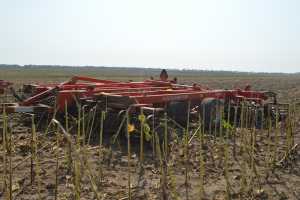 Передпосівний обробіток ґрунту: підготувати основу під ріпак
