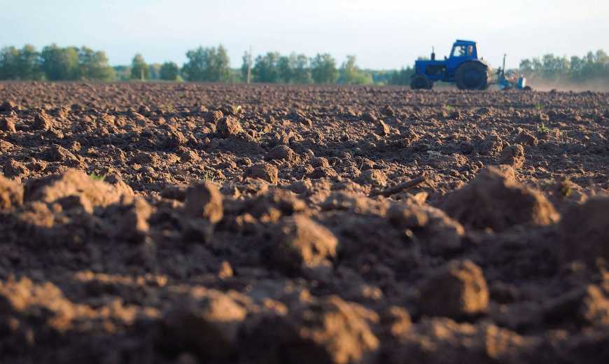 6 млн га земель сільгосппризначення в Україні потребують консервації, – Роман Лещенко