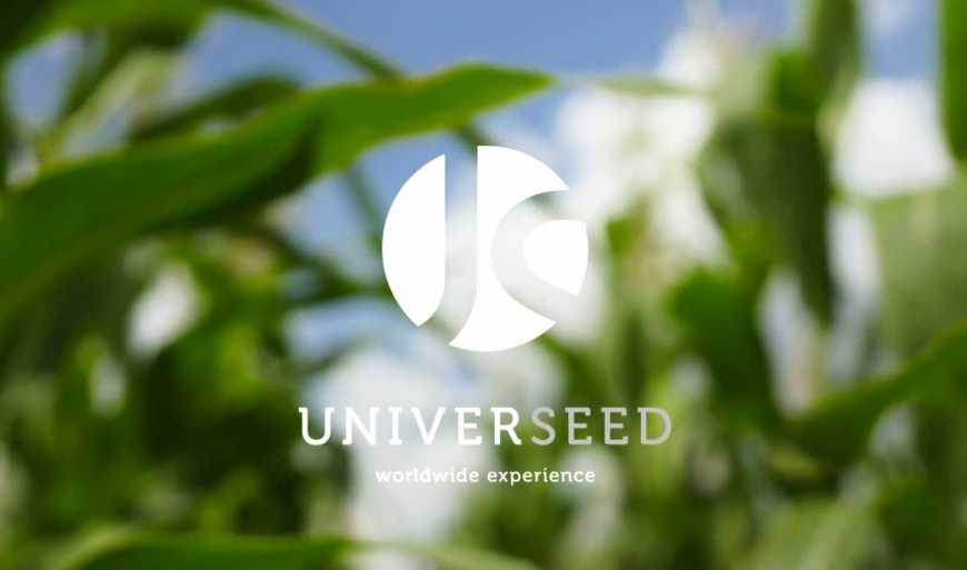 UNIVERSEED: новий стандарт на ринку насіння