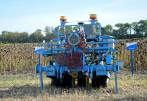 В Україні зростають ціни на ринку зернових культур