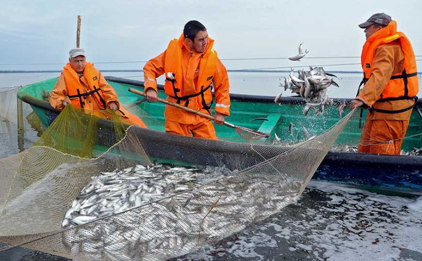 Рибалки-промисловики розпочали вилов у Чорному морі