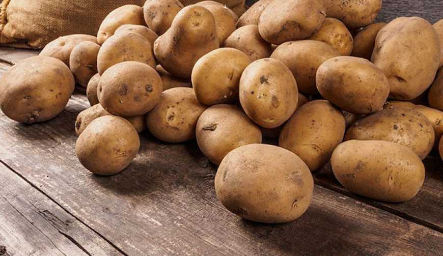 Стало відомо, що буде з цінами на картоплю через неврожай