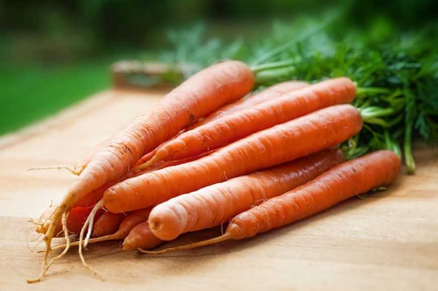 Ціни на моркву в Україні впали до найнижчого за останні 3 роки рівня
