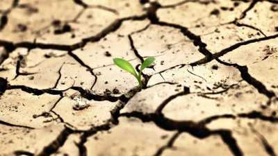 Втрати аграріїв через посуху оцінили у 118 млрд грн
