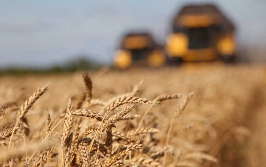 Фермери намолотили майже 47 мільйонів тонн зерна