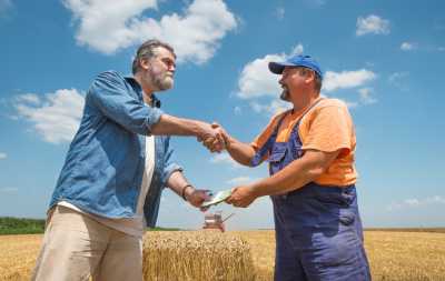 Невиконання форвардних контрактів може призвести до зниження обсягів виробництва зернових, – експерт