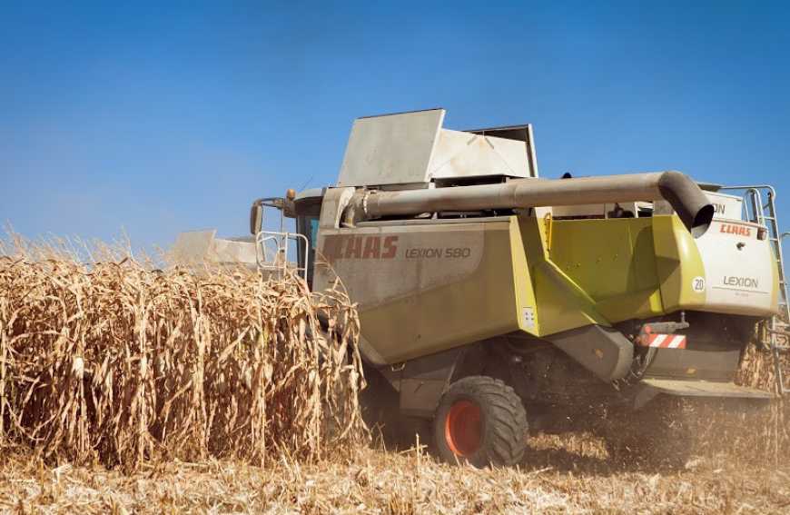 У KSG Agro стартувало прибирання кукурудзи та сівба озимих