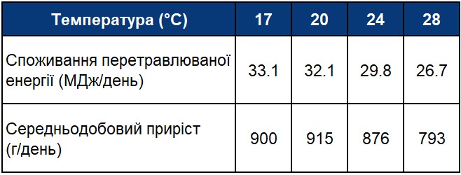 04 554 Tekro tab11