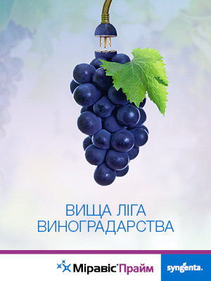 300x400 Miravis Prime Banner web google PGR 23132