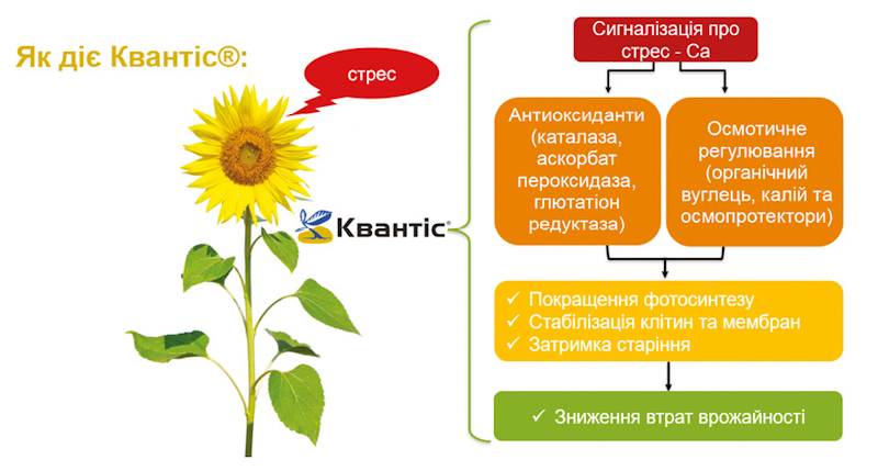 01 02 464 465 33 2