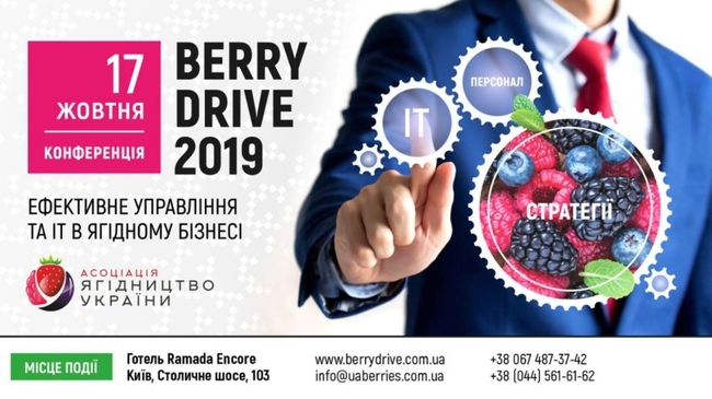 berry drive 2019 iahidnyy biznes vid postanovky mety do uspishno