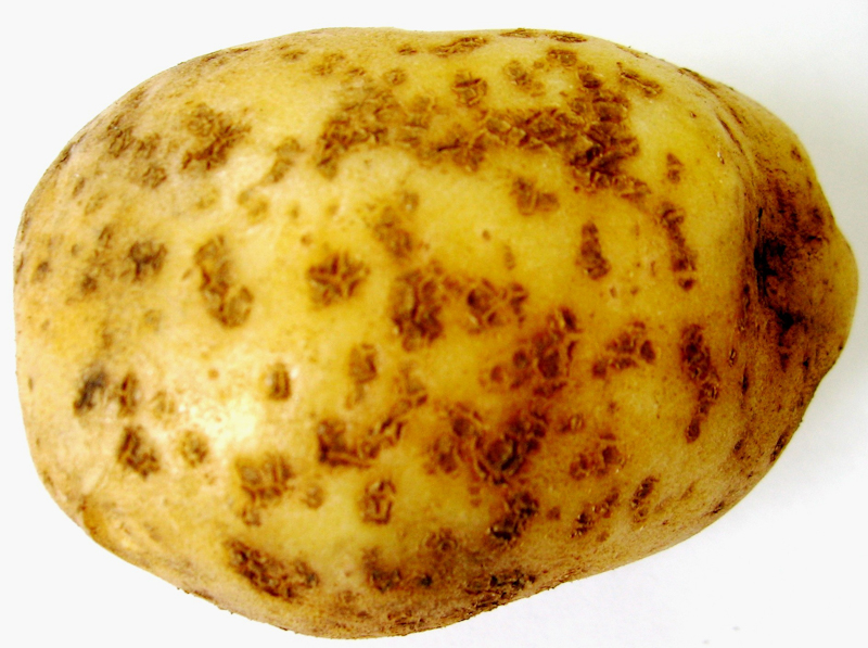 17 432 64 1