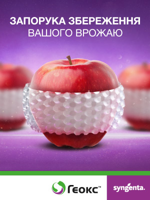 21208 300х400 0 00 02 11 1