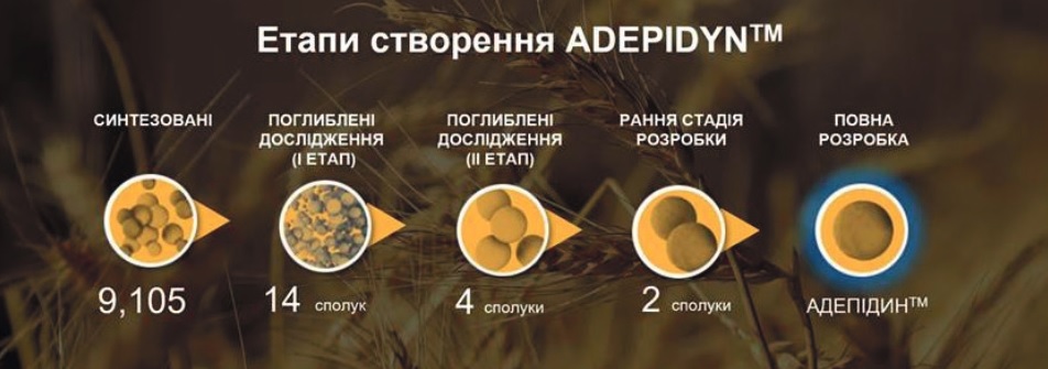 23 462 syngenta 1