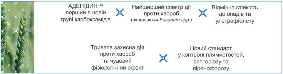 23 462 syngenta 2