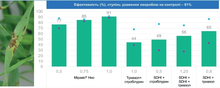 23 462 syngenta 5
