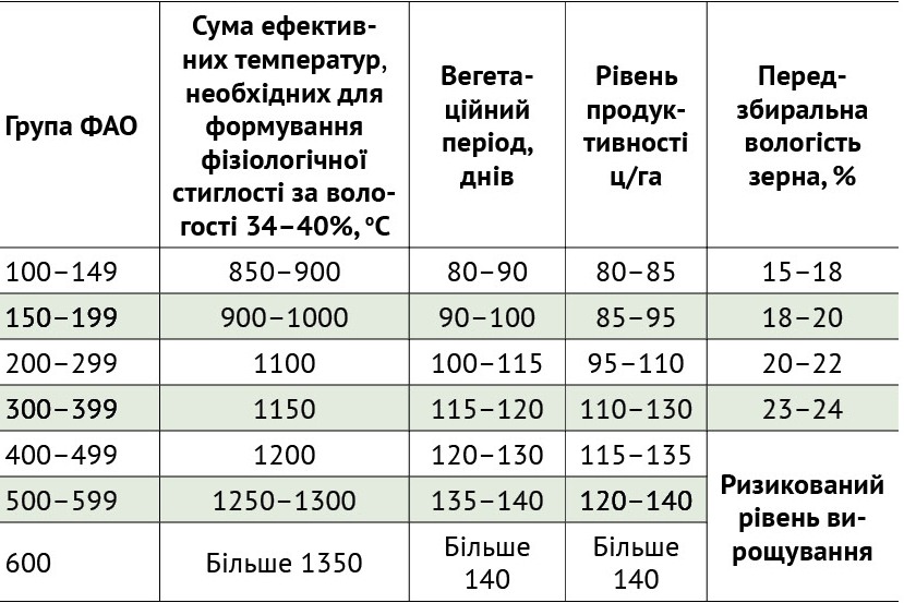 03 394 53