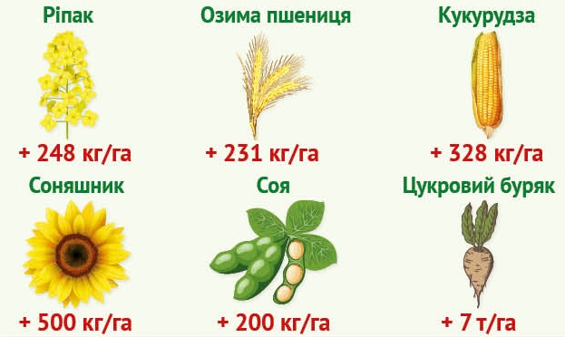 03 04 514 515 19