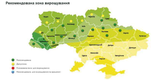 03 04 514 515 23 spektral 3