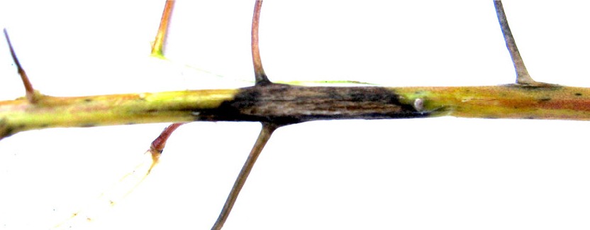 05 420 40 4
