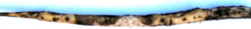 05 420 42 4