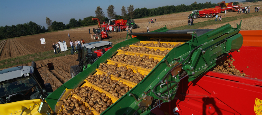 08 546 Tolsma 4