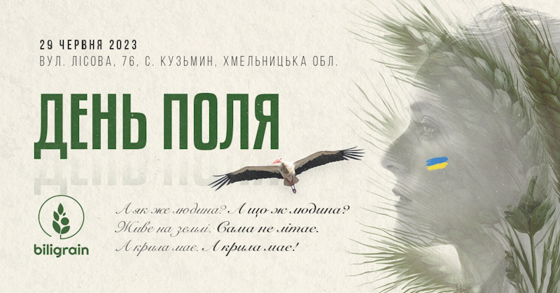 den polya 29 06 2023