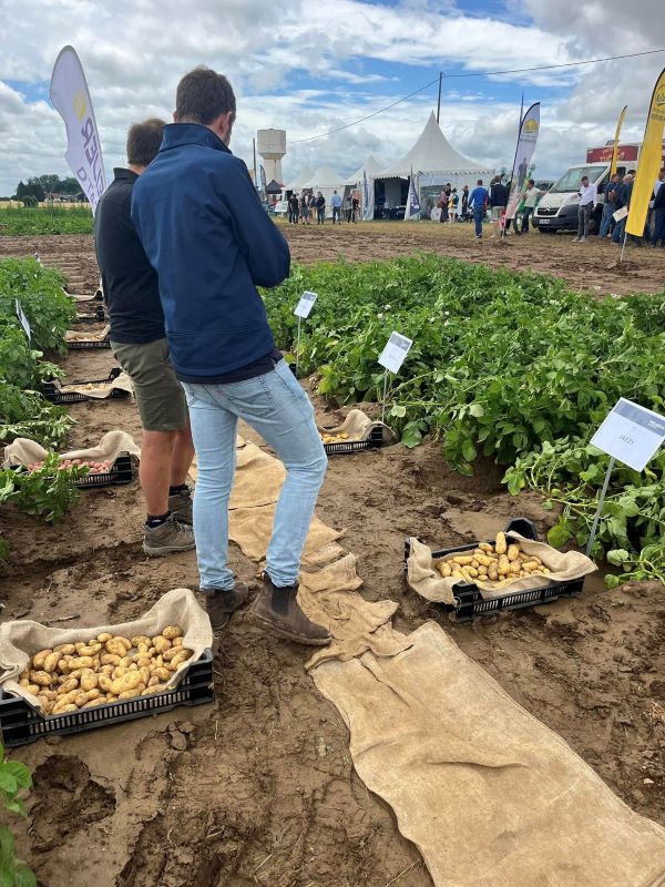 kartoplya 03 07 25 4