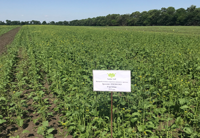 Natursvit 15 01 25 2