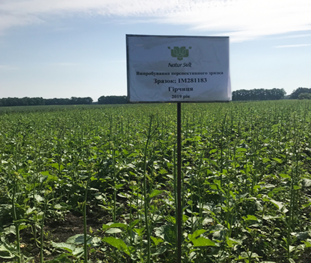 Natursvit 15 01 25 3