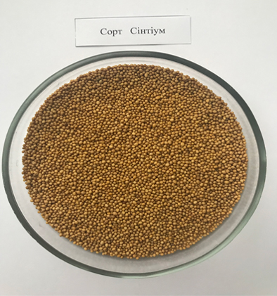 Natursvit 15 01 25 5