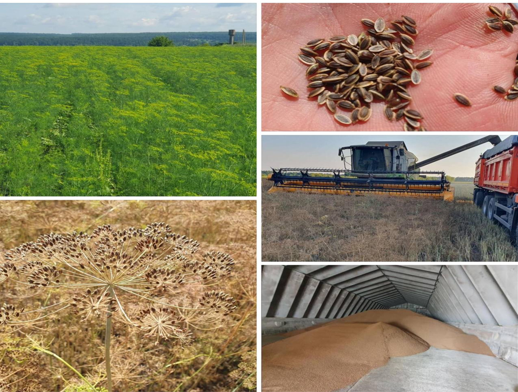 Natursvit 15 01 25 9