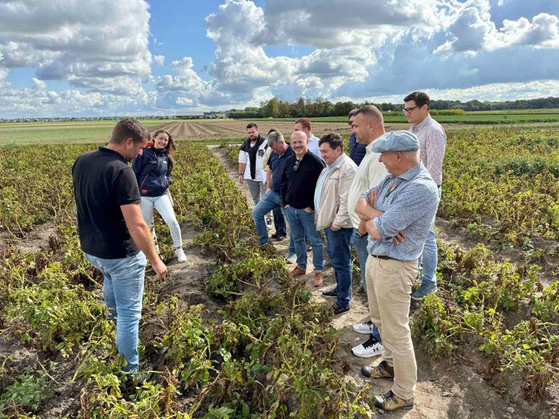 EvroPotato 12 09 25 4