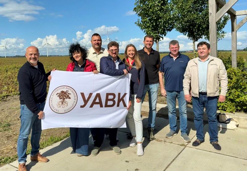 EvroPotato 12 09 25 5