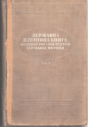 Lebedinka7 2