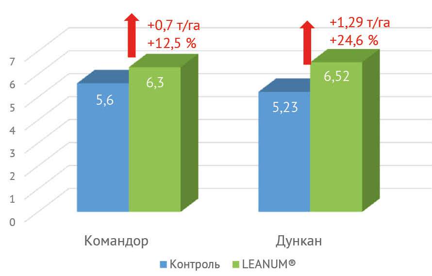 Sonyashnik 2020 69 2