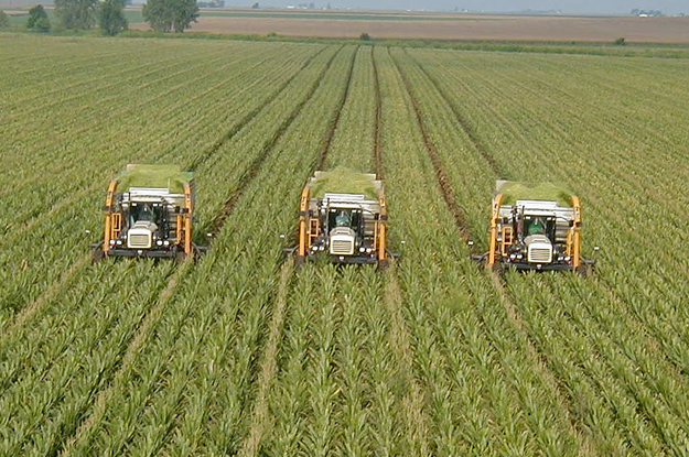 agroholding
