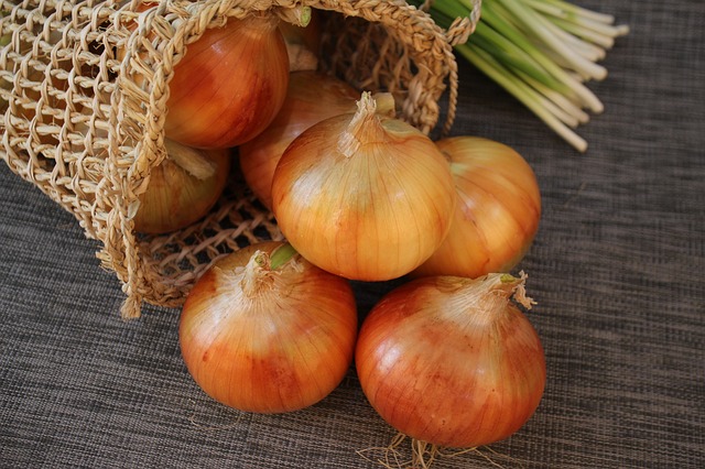 cibulya 11