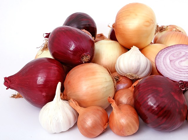 cibulya 9