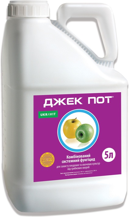 nov 03 06 2019 ukravit