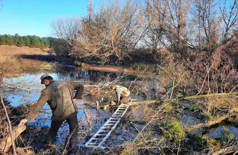 nov 09 10 2023 smitnik 1