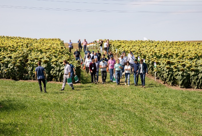 nov 11 09 2019 agrosem 5