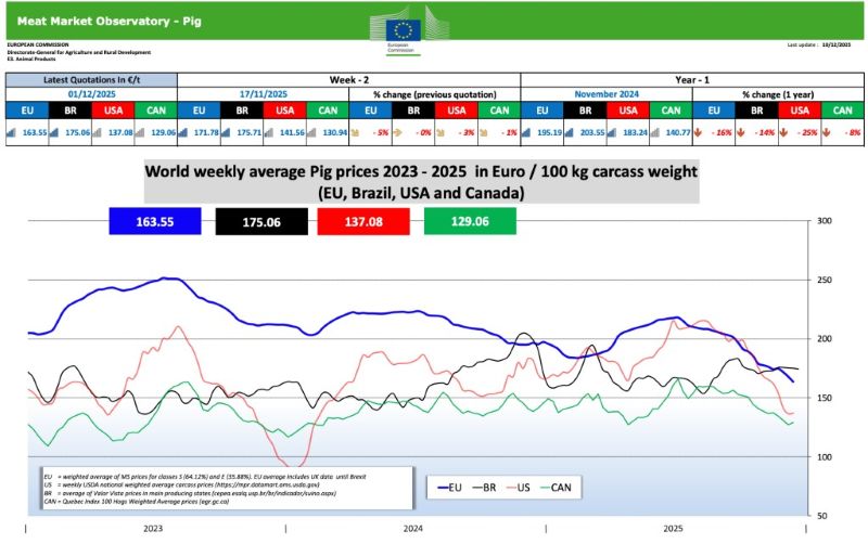 nov 12 12 2025 svini