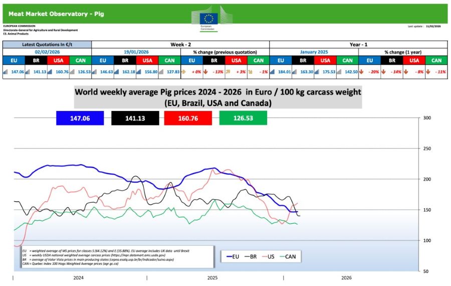 nov 13 02 2026 svini
